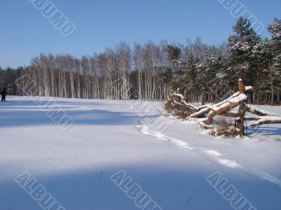 Winter snowy morning country landscape