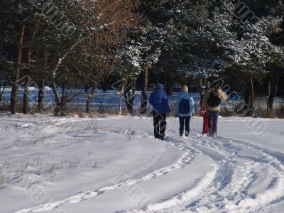 Group walking by winter snowy road