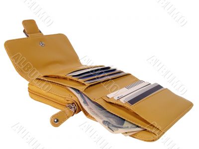 Open wallet-clipping path