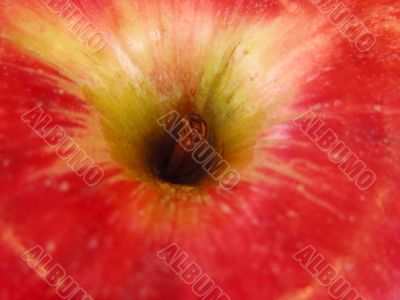 Abstract apple hole