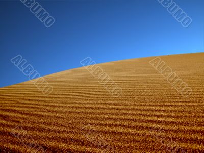 Sand dunes