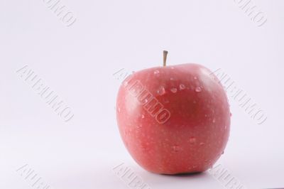 red apple
