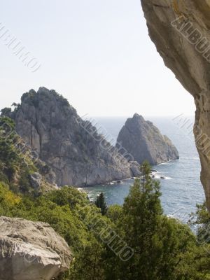 Mountain the Cat in Crimea