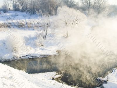 Winter landscape