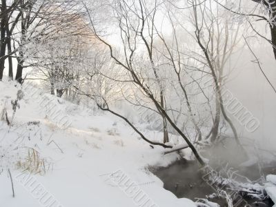 Winter landscape