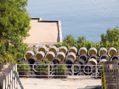Manufacture grape wine