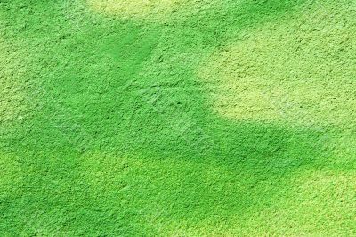 green wall background