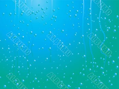 raindrop on a window