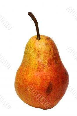 pear isolated