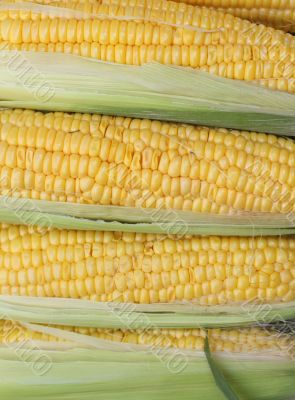Corn cobs