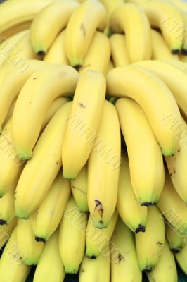 Bananas