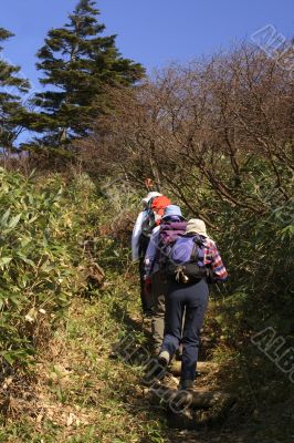 Hiking