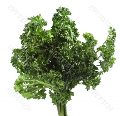 Parsley