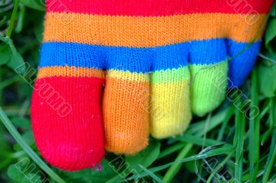 bunte Socke