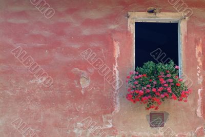 fenster | window