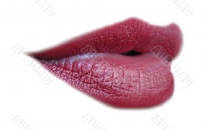 mund dynamisch | dynamic mouth