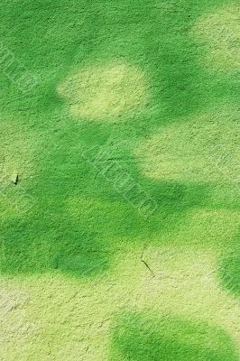 green painted wall