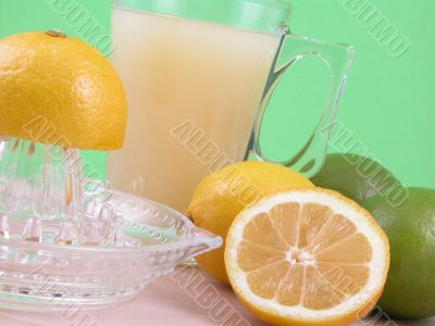 lemons squeezer