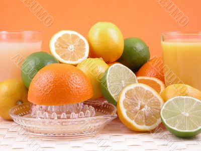 citrus squeezer