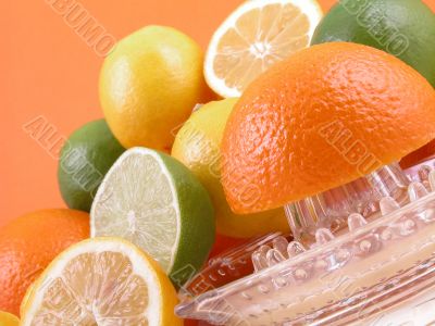 citrus squeezer