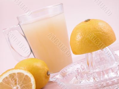lemons squeezer