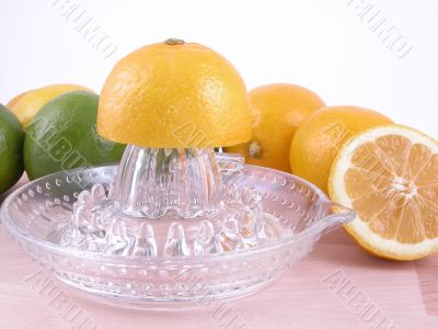 lemons squeezer