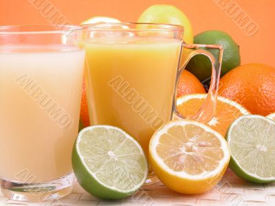 citrus squeezer