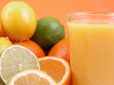 citrus squeezer