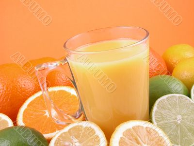 citrus squeezer
