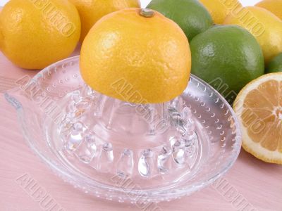 lemons squeezer
