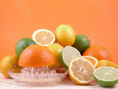 citrus squeezer