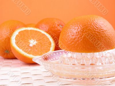 orange squeezer