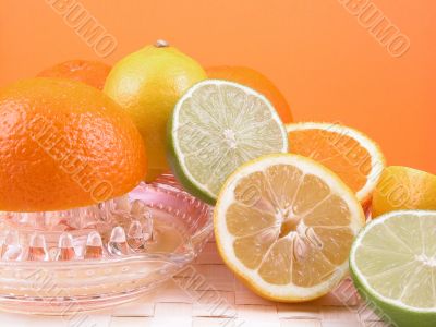 citrus squeezer