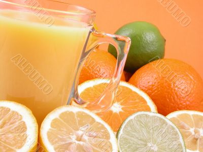 citrus squeezer
