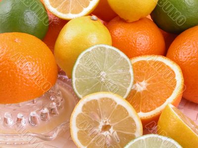 citrus squeezer