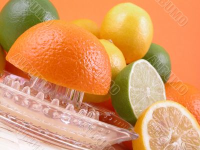 citrus squeezer