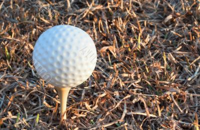 golf ball