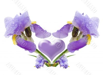 Composition from a flower