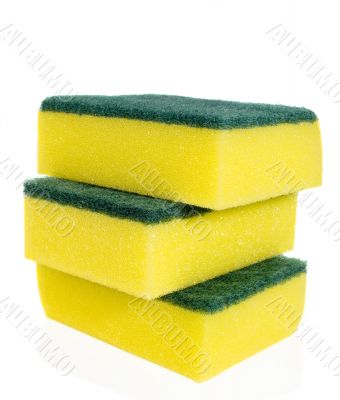 Yellow sponges