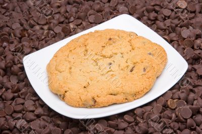 Chocolate chips cookie