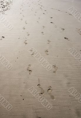 Steps 2