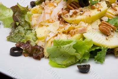 Salad. Close-up