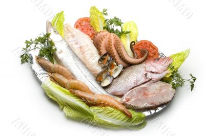Seafood