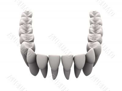 Lower teeth 1