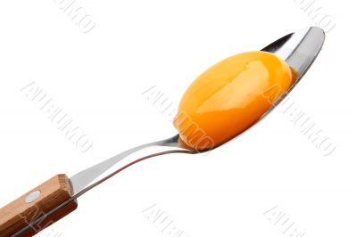 Egg on spoon