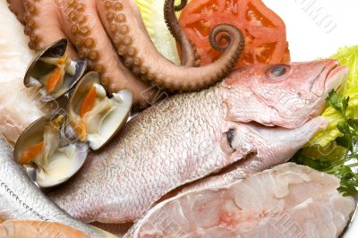 Seafood 2
