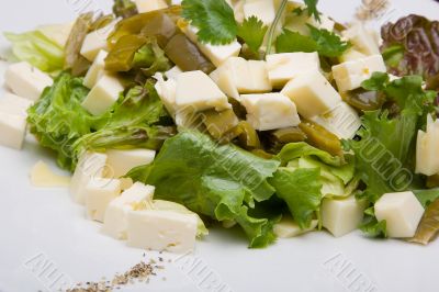 Cholla salad. Close-up