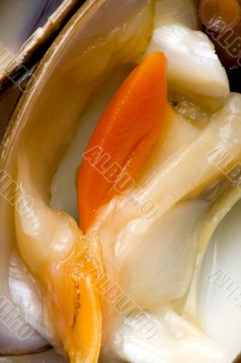 Clam close-up