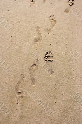 Steps on the beach