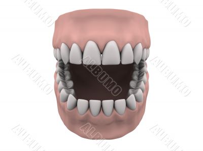 Teeth and gums open